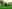 Irlanda