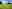 Bordon campsites