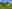 The Netherlands