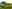 Lifton campsites