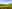 Buckinghamshire