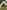Deluxe Couple bell tent