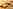 Luna bell tent (large)