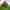 Tente cloche (premium)