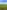 Non-electric grass tent or trailer tent pitch