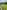 Conic View electric hardstanding and grass touring caravan pitch 