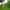 Non-electric grass tent or trailer tent pitch
