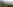 Electric grass touring pitch (sea view)