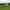 Non-electric grass tent or trailer tent pitch