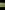 Unpowered grass tent or trailer tent site