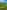 Non-electric grass tent, trailer tent or campervan pitch (2 adults and 3 children)