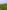 Non-electric grass tent pitch (six person) 