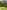 Electric grass pitch 