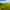 Non-electric grass tent pitch (two person) 