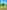 Non-electric grass and earth tent or trailer tent pitch 