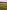 Non-electric grass tent or trailer tent pitch 
