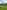Non-electric grass tent or trailer tent pitch