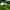 Tente cloche (premium)