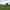 Electric optional grass tent or trailer tent pitch