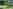 Exclusive Shady Woodland non-electric grass tent pitch