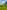 Non-electric grass tent or campervan pitch