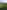 Участок для палатки Meadow с травянистым покрытием без электричества