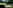 Electric forest floor tent pitch (woodland)