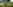 Non-electric grass and earth tent pitch (woodland) 