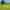 Electric grass touring pitch (2 adults and 4 children) 