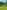 Non-electric grass pitch 
