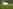 Electric optional grass and earth tent or trailer tent pitch