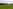 (copy) electric grass tent pitch 
