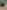 Non-electric grass and earth tent pitch (wild, woodland) 
