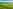 The Park non-electric grass tent or trailer tent pitch (deluxe)