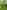 Non-electric grass tent pitch
