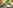Titania 2 bedroom cottage / chalet / bungalow (2 adults and 2 children)