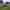 Electric grass pitch