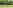 Electric grass tent pitch