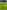 Custard non-electric grass tent pitch 