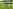 Non-electric grass tent, trailer tent or campervan pitch (2 adults and 3 children)