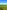 Non-electric grass motorhome pitch