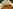 Anne&#x27;s Acre bell tent 