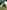 Deluxe Couple bell tent