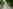 Electric optional grass tent pitch (solo)