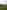 Non-electric grass tent pitch
