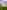 Luna bell tent (large)