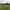 Non-electric grass touring pitch 