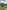 Electric grass tent pitch 