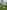 Electric grass touring caravan pitch 