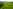Non-electric grass tent or campervan pitch